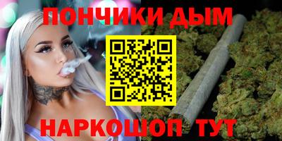 индика Обь