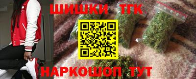 индика Обь