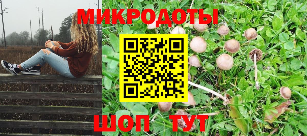 Псилоцибиновые грибы мицелий Ставрополь